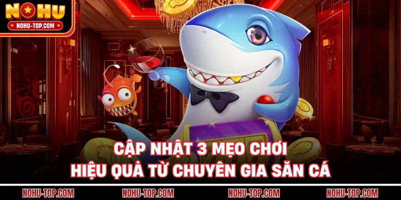 Cập Nhật 3 Mẹo Chơi Hiệu Quả Từ Chuyên Gia Săn Cá