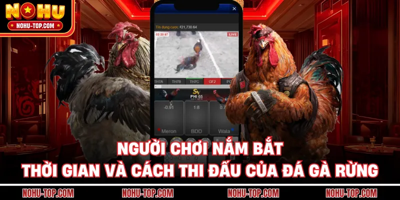 Người Chơi Nắm Bắt Thời Gian Và Cách Thi Đấu Của Đá Gà Rừng